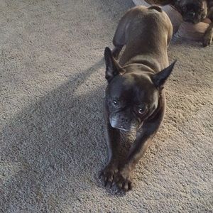 Meet your Posher, Michelle